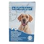Advantage - Blue Box for Dogs over 55 pounds - 6 pack