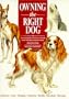 Owning the Right Dog