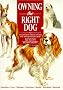 Owning the Right Dog