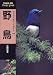 野鳥 (ヤマケイポケットガイド)