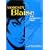 Modesty Blaise: Gallows Bird