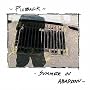 summer in abandon