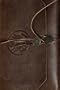 Disney's National Treasure Limited Leather 5-Disc Set DVD (National Treasure / National Treasure 2 : Book of Secrets)