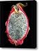 Ripe Red Pitaya. Canvas Print / Canvas Art - Artist Terence Davis