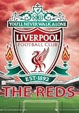 Liverpool FC. 3D Affiche