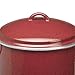 Paula Deen Signature Enamel on Steel 12-Quart Stockpot, Red Speckle