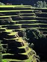 Rice Terraces, Ifugao Province, Luzon, Southern Tagalog, Philippines Art Photographic Poster Print by John Elk III, 12x16