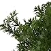 Green Artificial Plant 6 Branches Parsley Grass Home Wedding Decor