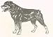 Dog Rubber Stamp - Rottweiler - 3E