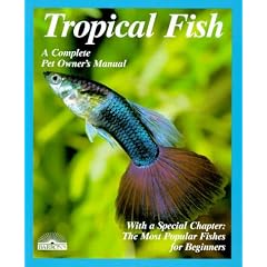 Tropical Fish: Setting Up and Taking Care of Aquariums Made Easy: Expert Advice for New Aquarists