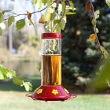 Perky Pet Hummingbird Glass Best Bird Feeder