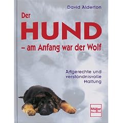 Der Hund, am Anfang war der Wolf