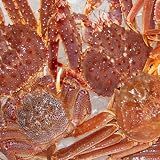 【NEW】かなはしカーニバルセット4.0Kg(活目) 送料無料！！