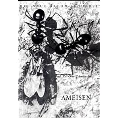 Ameisen