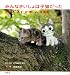 講談社 みんなさいしょは子猫だった―チーズスイートホーム写真集 こなみ かなた