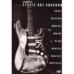 Various Artists - A Tribute to Stevie Ray Vaughan