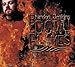 Down in Flames