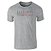 Pop Threads Fallon Timberlake 2016 Presidential Election Gray XL Short Sleeve T-Shirt