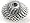 Free Hub Cassette Campagnolo Chorus 12-25 10S