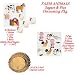 Farm Animals Cakes Cupcakes - Sugars-Pics Do-It-Yourself Pkg. 2 - 40 Total Pieces