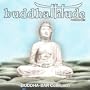 Buddhattitude Freedom