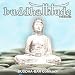 Buddhattitude Freedom