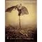 Ultimate Must Have Books in Photography