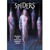 Spiders