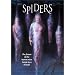 Spiders