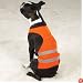 Dog Safety Vest - Bright Orange Reflective Safety Vest - X-Large (XL)