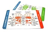 Pack of 20 Reflexology Cards