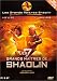 Les 7 grands maîtres de Shaolin