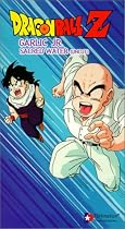 Dragonball Z, Vol. 29 - Garlic Jr: Sacred Water (Uncut) [VHS]