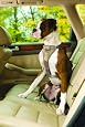 Kurgo TruFit Smart Dog Harness, Khaki, Medium
