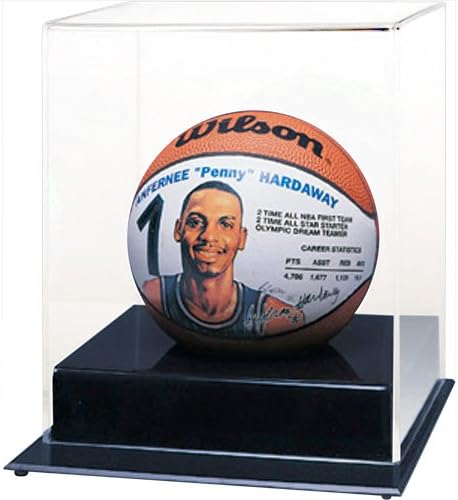 Caseworks Mini Basketball Case