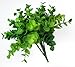 7 Capensia Bush, Artificial Plant by SonStarShop