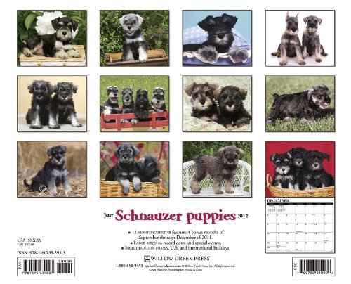 Schnauzer Puppies 2012 Calendar (Just (Willow Creek)) [Calendar]