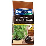 Détails sur le produit