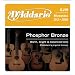 D'Addario EJ19 Phosphor Bronze Bluegrass Medium Light Acoustic Guitar Strings