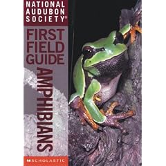 National Audubon Society First Field Guide: Amphibians (National Audubon Society First Field Guide)