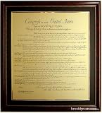 The Bill of Rights Framed and Matted 29x31