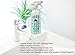 Natural HomeLogic Eco Friendly Bathroom Cleaner - 16 oz (1 Pack, Jasmine Mist)