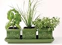 Italian Herb Trio