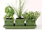 Outdoor Living : Italian Herb Trio