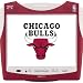 Hannspree's NBA Bulls XXL 15-Inch LCD Television