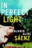  : In Perfect Light: A Novel