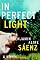 In Perfect Light: A Novel