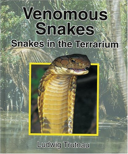 Venomous Snakes: Snakes in the Terrarium