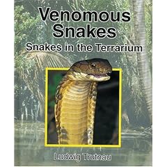 Venomous Snakes: Snakes in the Terrarium