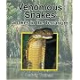 Venomous Snakes: Snakes in the Terrarium